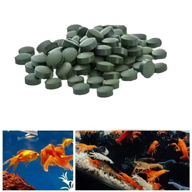 Aquarium Fish Holiday Food - 100-3000 قطعة من أقراص السبيرولينا عالية