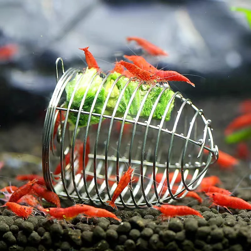Aquarium Fish Holiday Food - الفولاذ المقاوم للصدأ حوض السمك الصغيرة