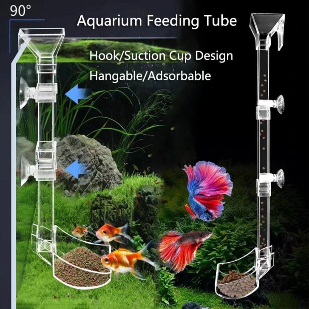Aquarium Fish For Beginners - جديد شفاف حوض للأسماك أنبوب التغذية