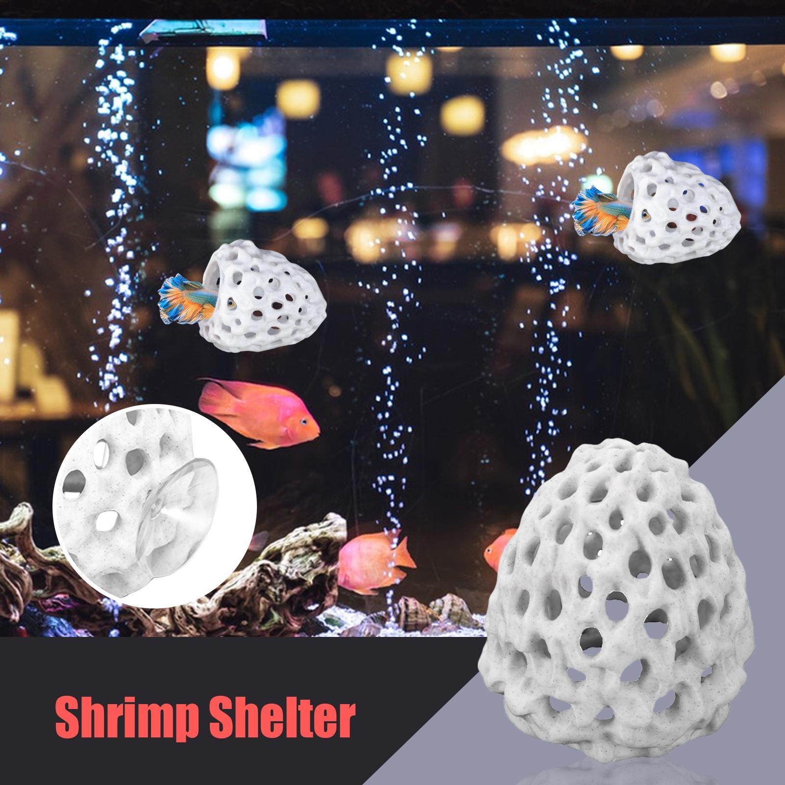 Aquarium Fish Hiding Spot - بيت صغير للروبيان في حوض السمك،