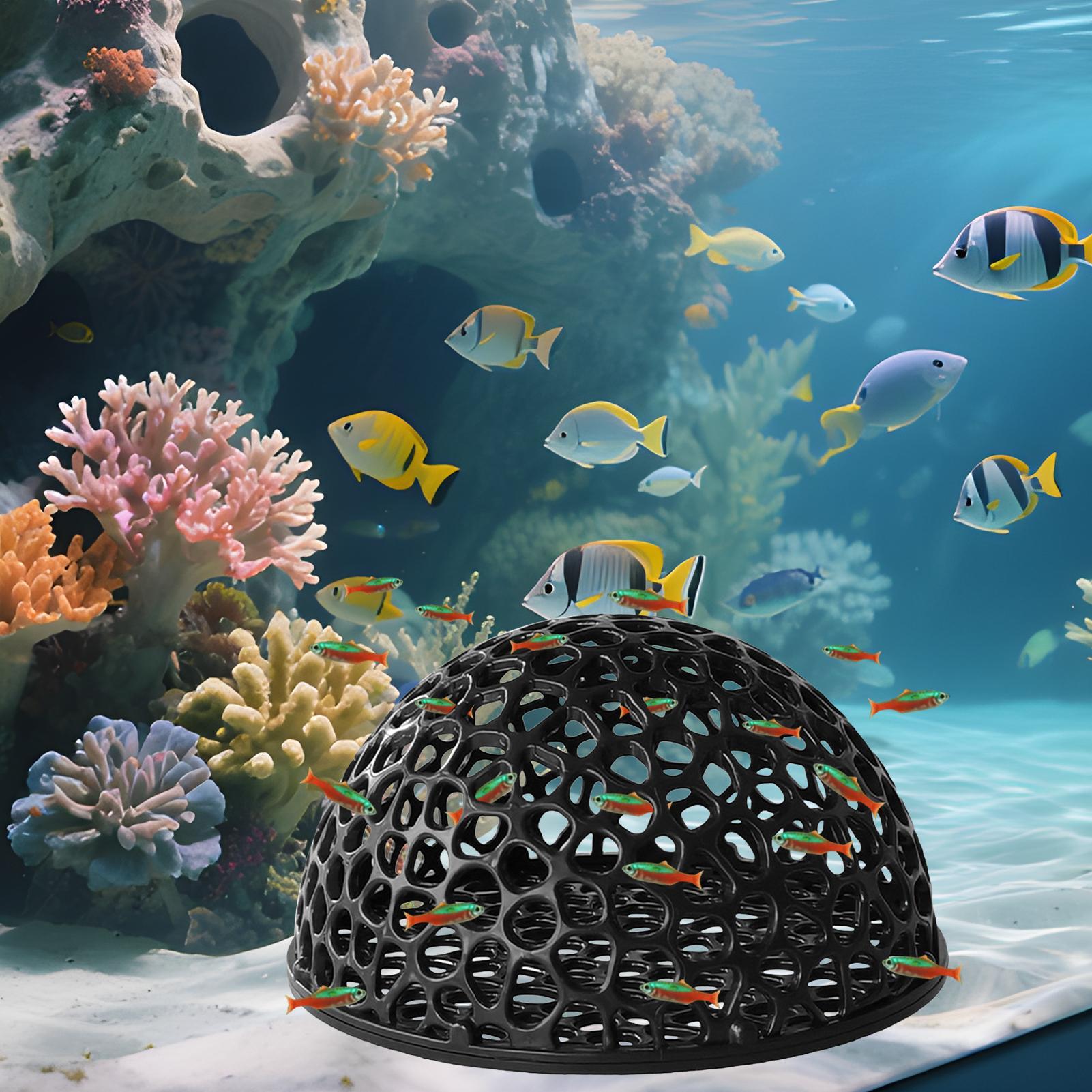 Aquarium Fish Hiding Spot - بيت الروبيان للأحواض المائية، كهف صغير