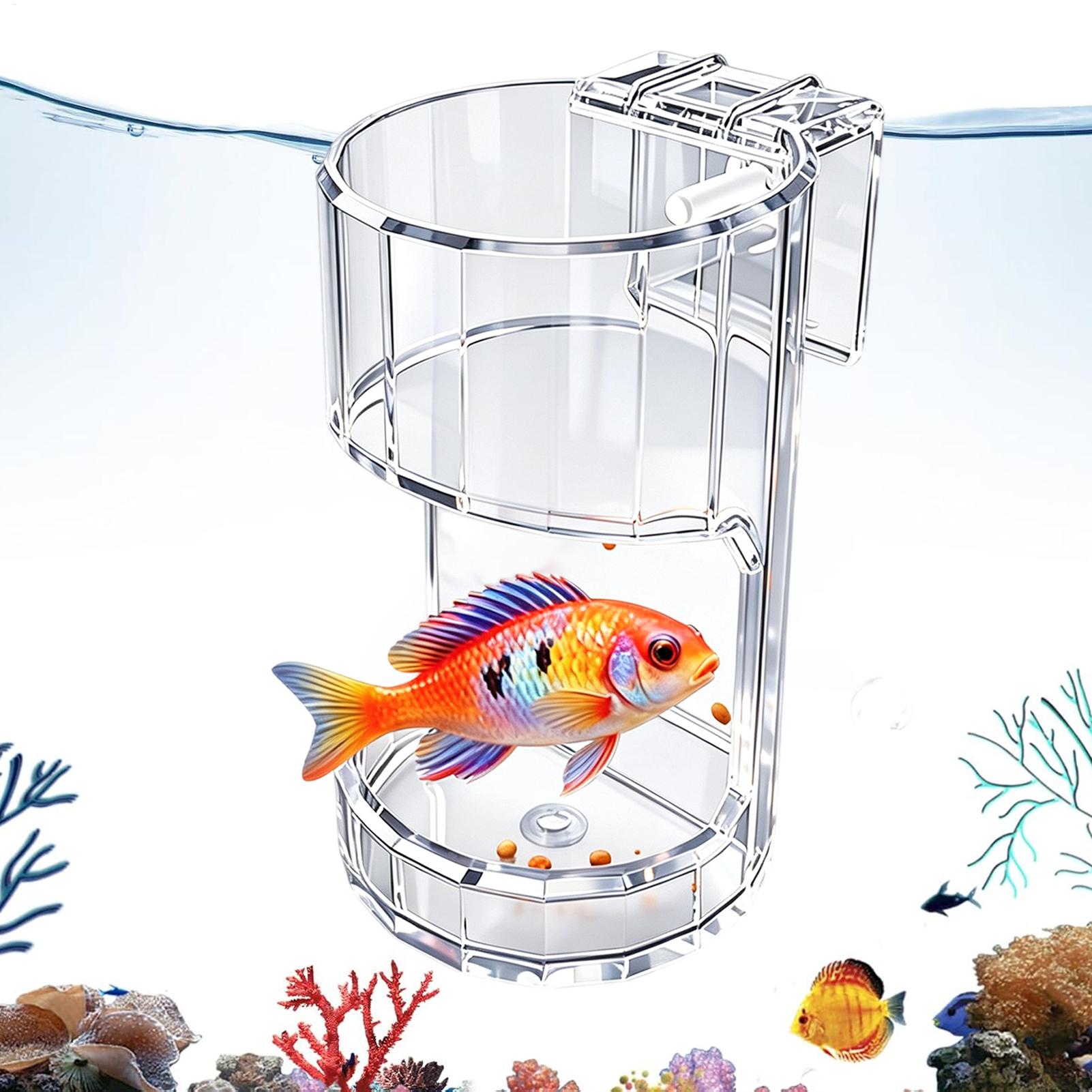 Aquarium Fish Holiday Food - وعاء تغذية شفاف للأحواض المائية، حاوية