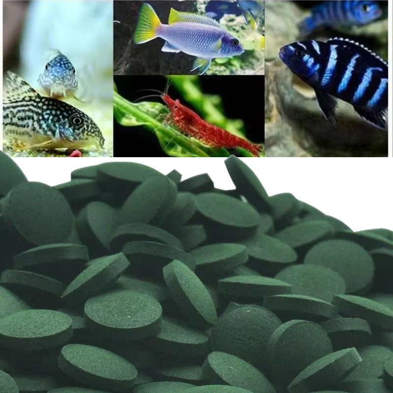 Aquarium Fish Holiday Food - 50/100/300/500 قطعة أقراص سبيرولينا دوامة الأعشاب