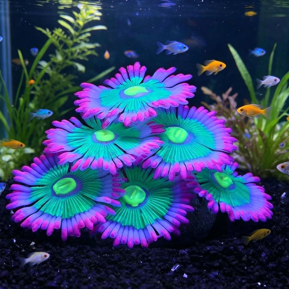Aquarium Fish Cichlid - زينة حوض السمك المضيئة الناعمة، نباتات