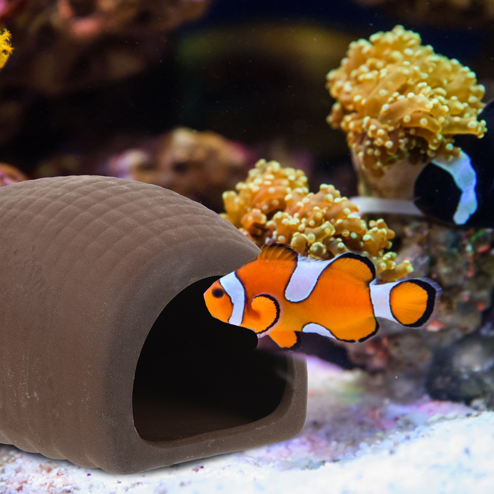 Aquarium Fish Hiding Spot - قطعتان من كهوف الروبيان السيراميكية الآمنة