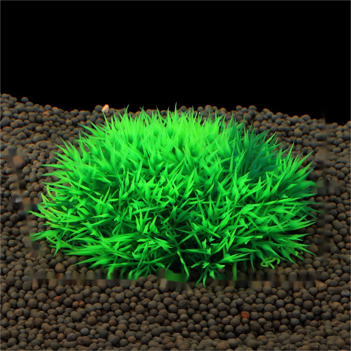 عشب مائي اصطناعي لتزيين أحواض  - مراجعة Aquarium Fish Store وسعره