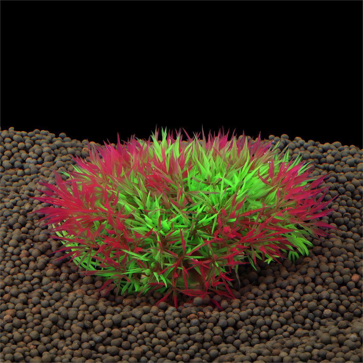 عشب مائي اصطناعي لتزيين أحواض  - مراجعة Aquarium Fish Store وسعره