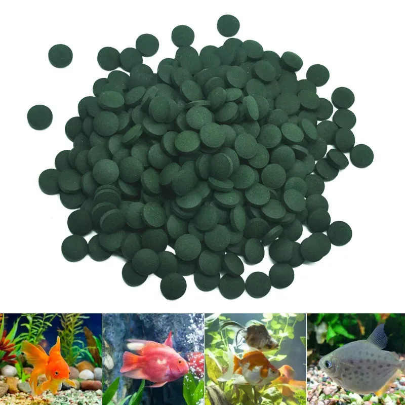 100-3000 قطعة من أقراص السبيرو - مراجعة Aquarium Fish Holiday Food وسعره