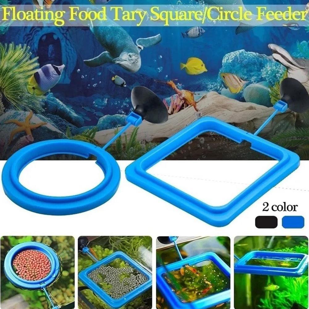 حلقة تغذية الأسماك، معدات صيد  - مراجعة Tetra Fish In Aquarium وسعره
