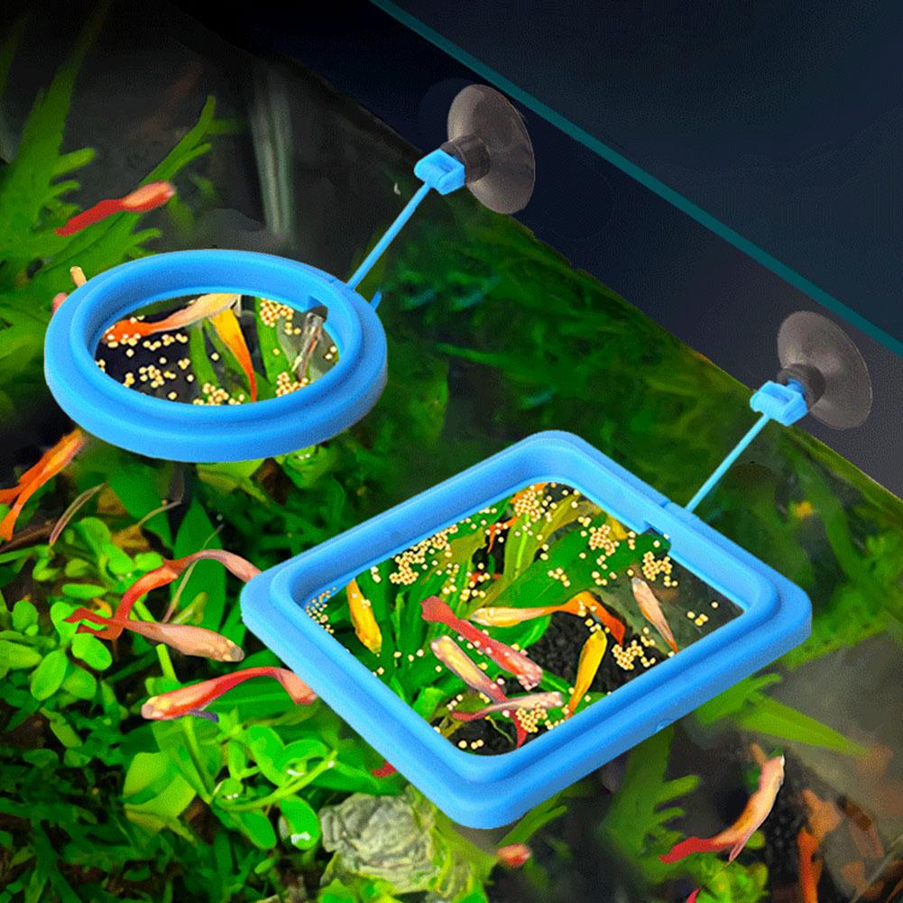 حلقة تغذية الأسماك، معدات صيد  - مراجعة Tetra Fish In Aquarium وسعره