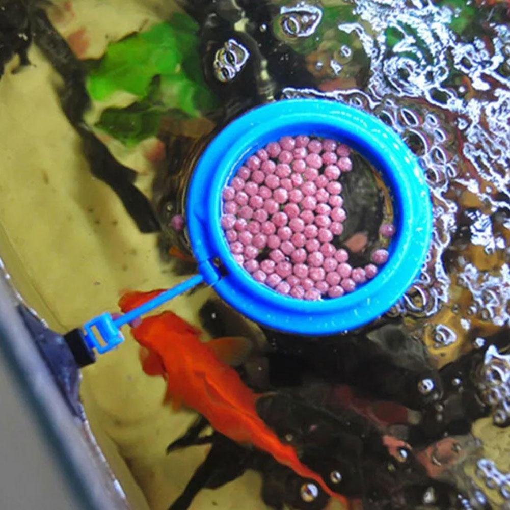 حلقة تغذية الأسماك، معدات صيد  - مراجعة Tetra Fish In Aquarium وسعره