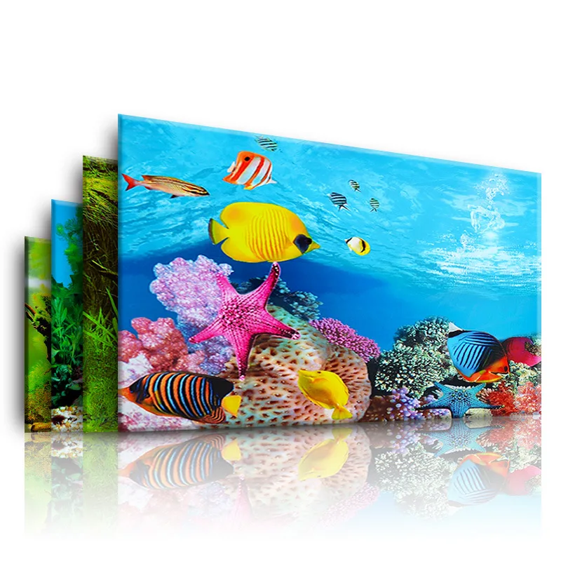 خلفية لحوض السمك ثلاثية الأبعا - مراجعة Aquarium Fish Cichlid وسعره