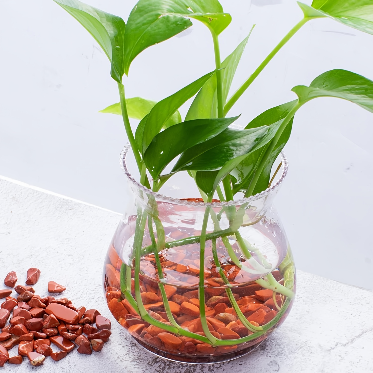 حجر جاسبر أحمر هبط - شظايا كوا - مراجعة Aquarium Decoration Rock وسعره