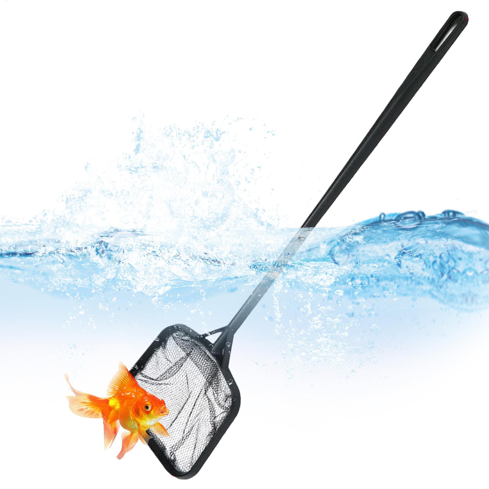 شبكات تنظيف حمامات السباحة، شب - مراجعة Cleaner Fish Aquarium وسعره