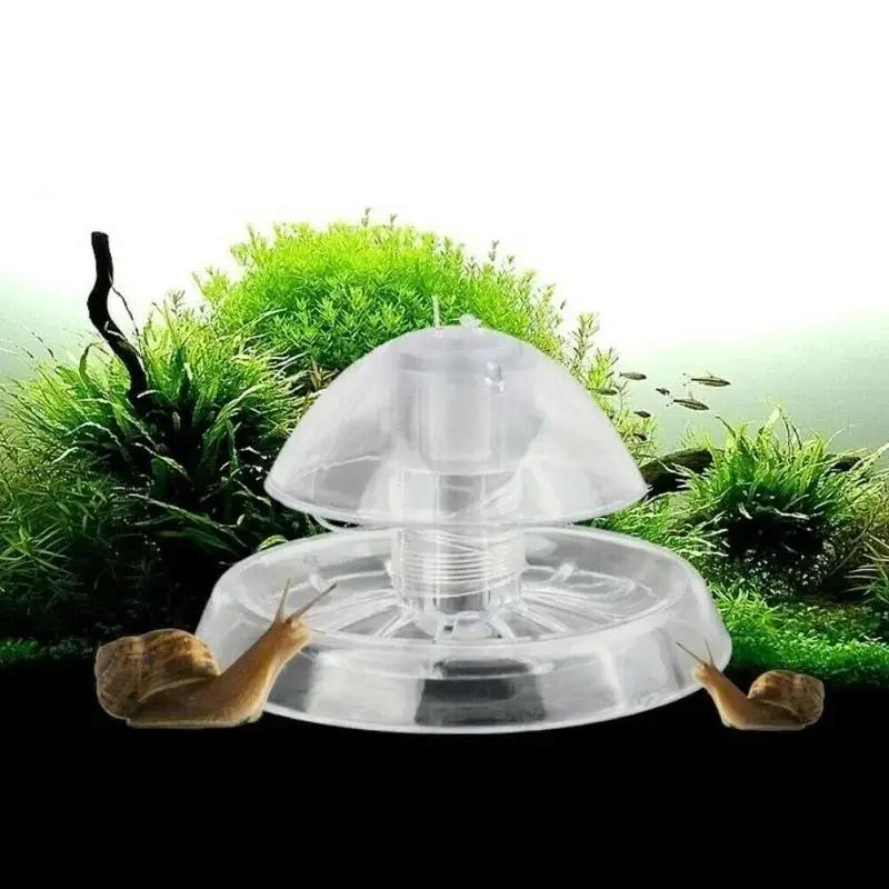 2026 جديد 6/8 سم صندوق مصيدة ح - مراجعة Aquarium Fish Store وسعره