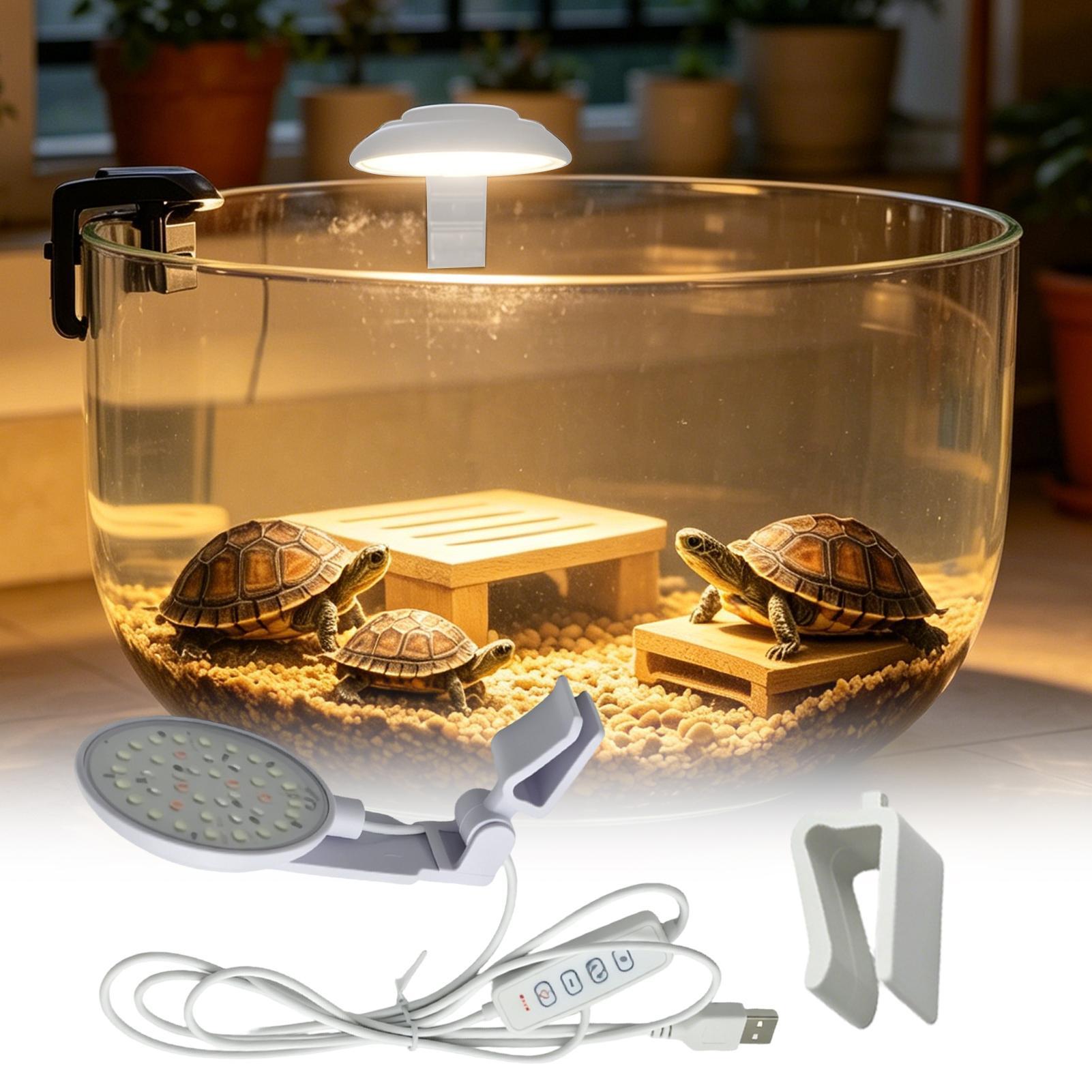 مصباح LED قابل للتعديل مضاد لل - مراجعة Aquarium Fish For Beginners وسعره
