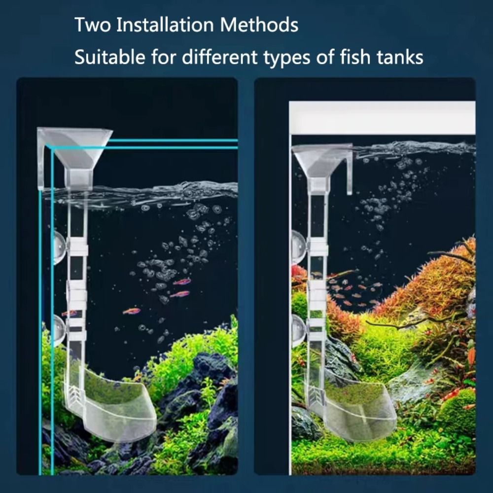 جديد شفاف حوض للأسماك أنبوب ال - مراجعة Aquarium Fish For Beginners وسعره