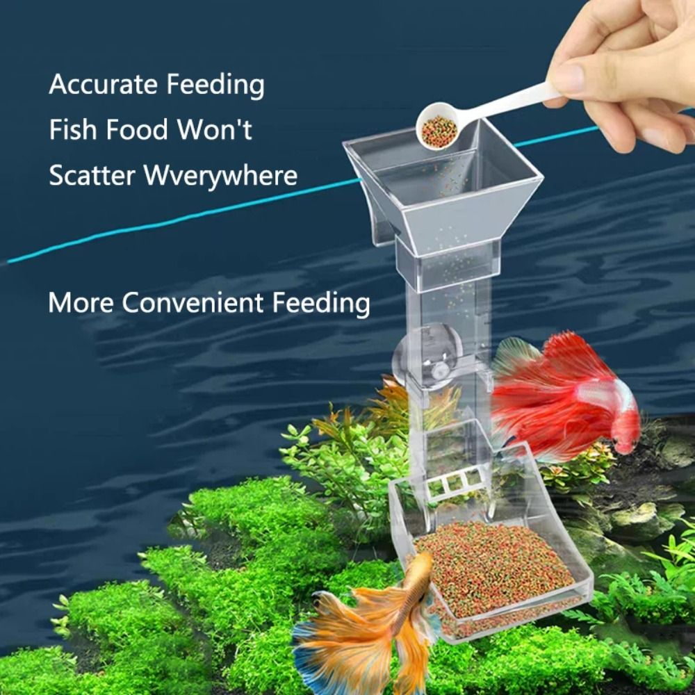 جديد شفاف حوض للأسماك أنبوب ال - مراجعة Aquarium Fish For Beginners وسعره