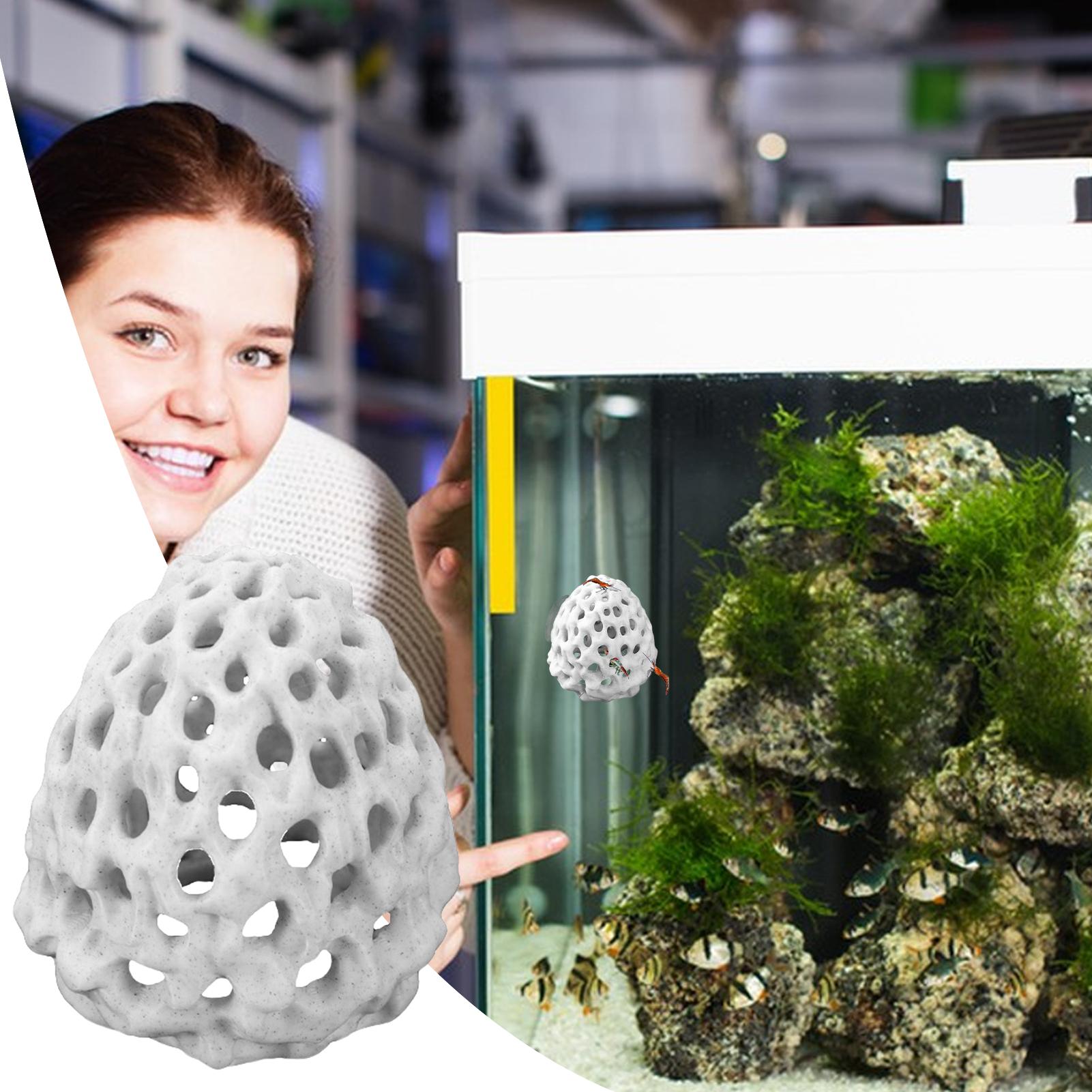بيت صغير للروبيان في حوض السمك - مراجعة Aquarium Fish Hiding Spot وسعره