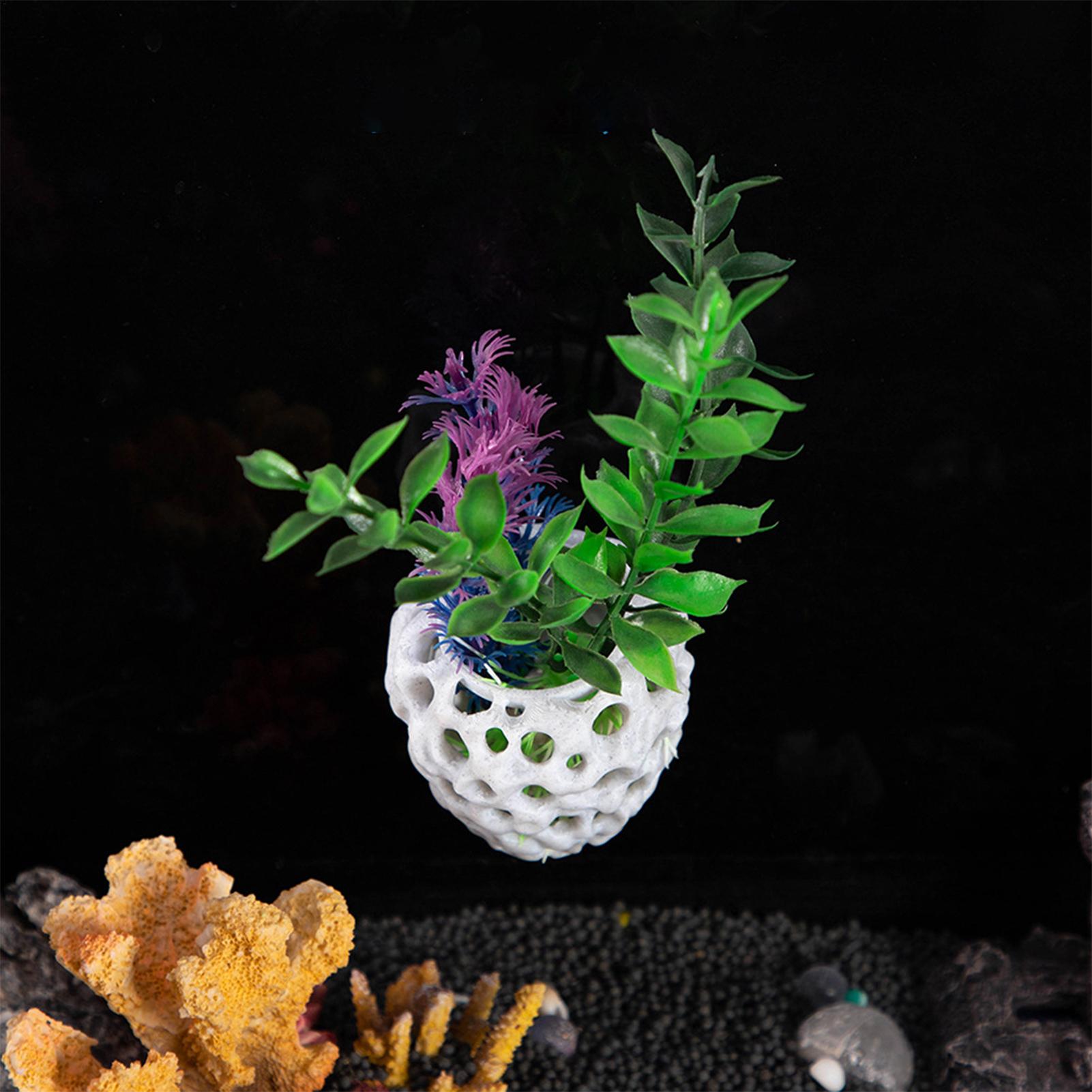 بيت صغير للروبيان في حوض السمك - مراجعة Aquarium Fish Hiding Spot وسعره