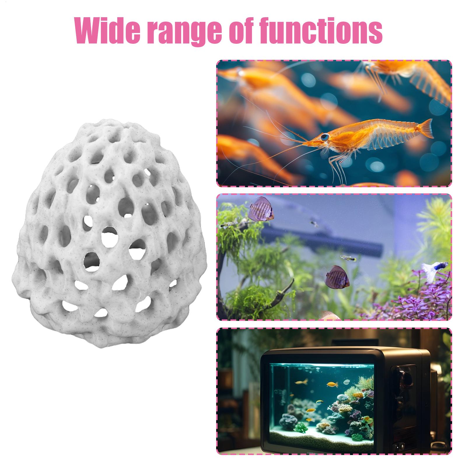 بيت صغير للروبيان في حوض السمك - مراجعة Aquarium Fish Hiding Spot وسعره