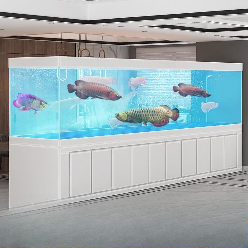 حوض سمك جينلونج كبير لغرفة الم - مراجعة Aquarium Xxl وسعره