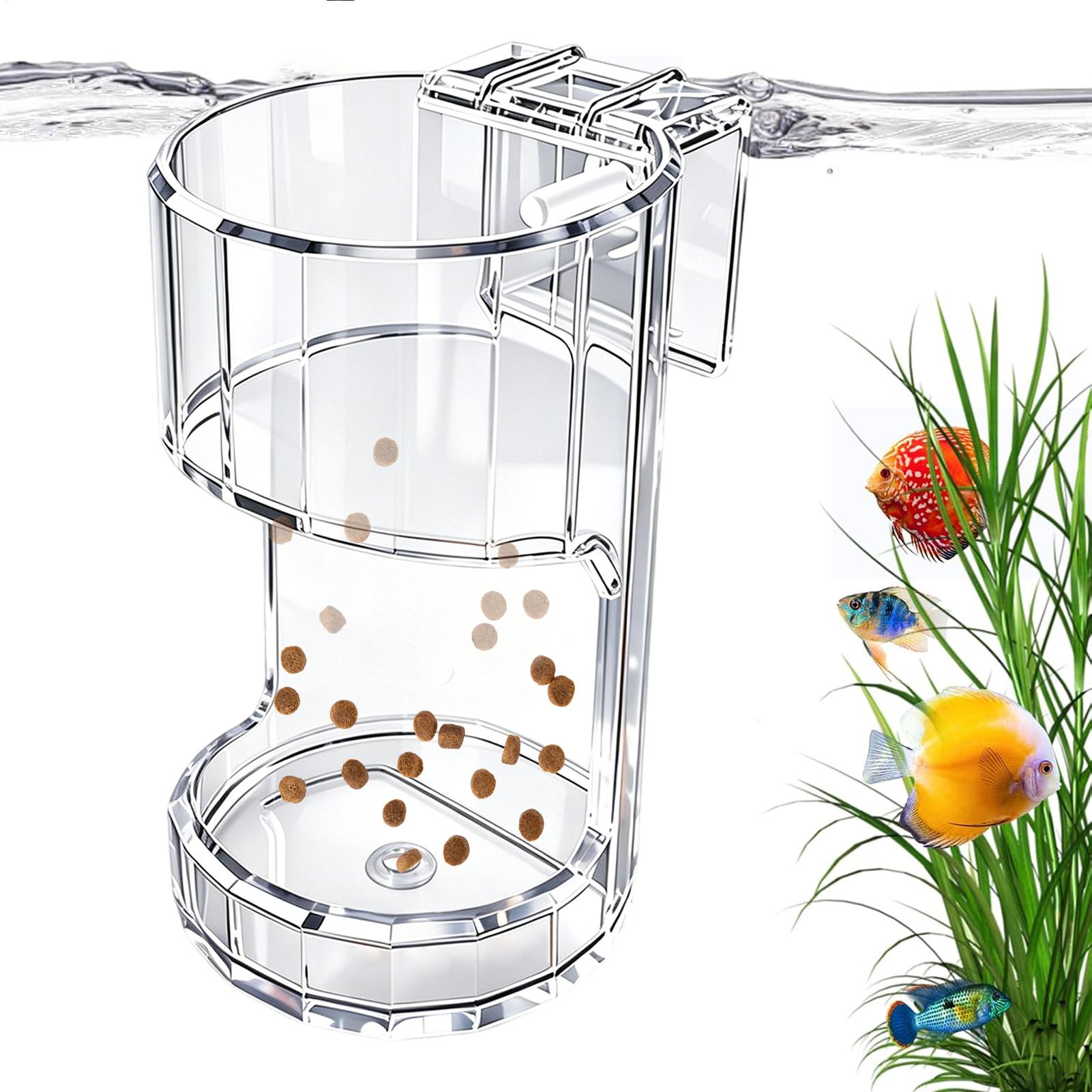 وعاء تغذية شفاف للأحواض المائي - مراجعة Aquarium Fish Holiday Food وسعره