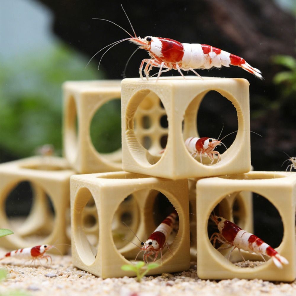 مخبأ للروبيان بتصميم هندسي ثلا - مراجعة Aquarium Fish Hiding Spot وسعره