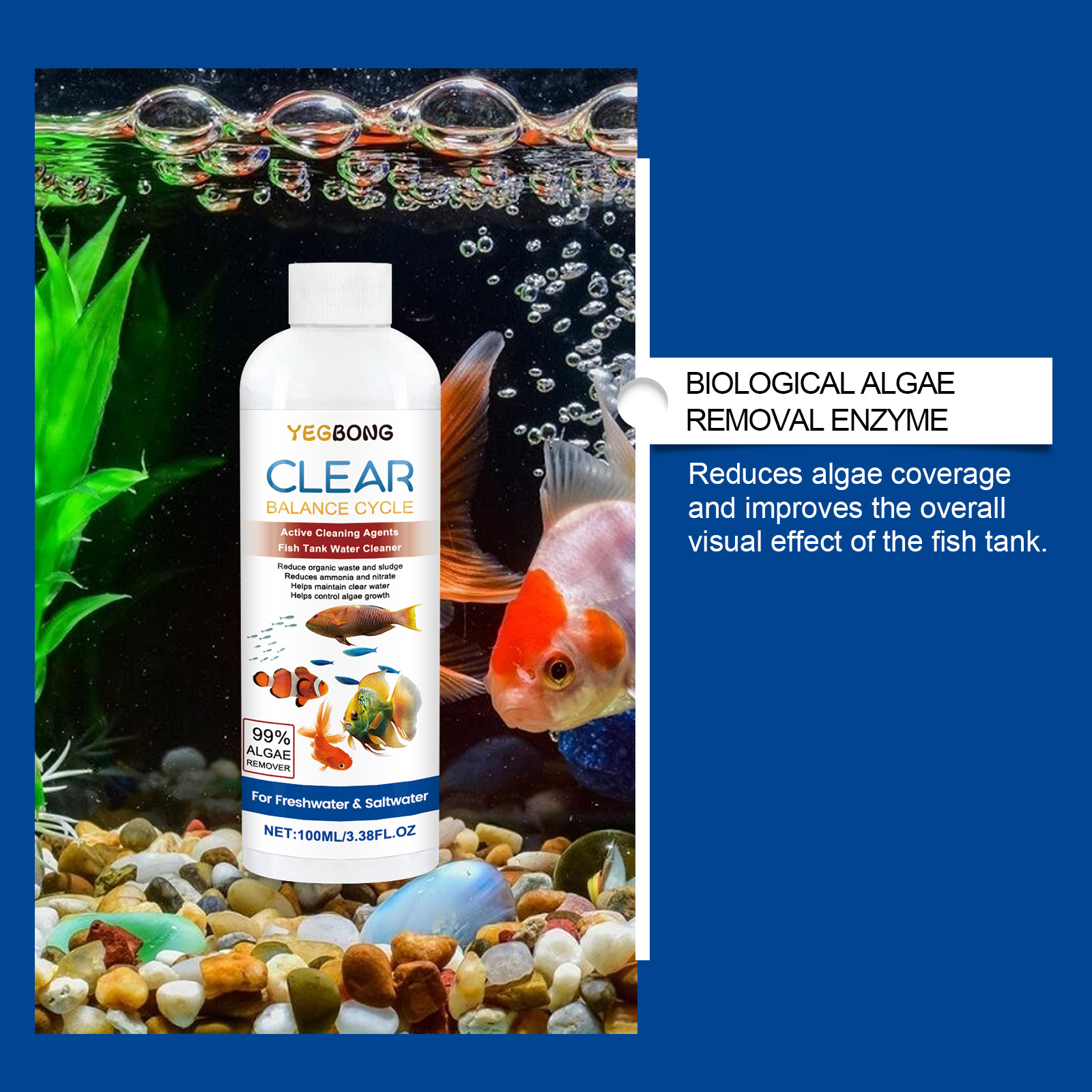 حوض السمك المياه توضيح 100 ملل - مراجعة Cleaner Fish Aquarium وسعره