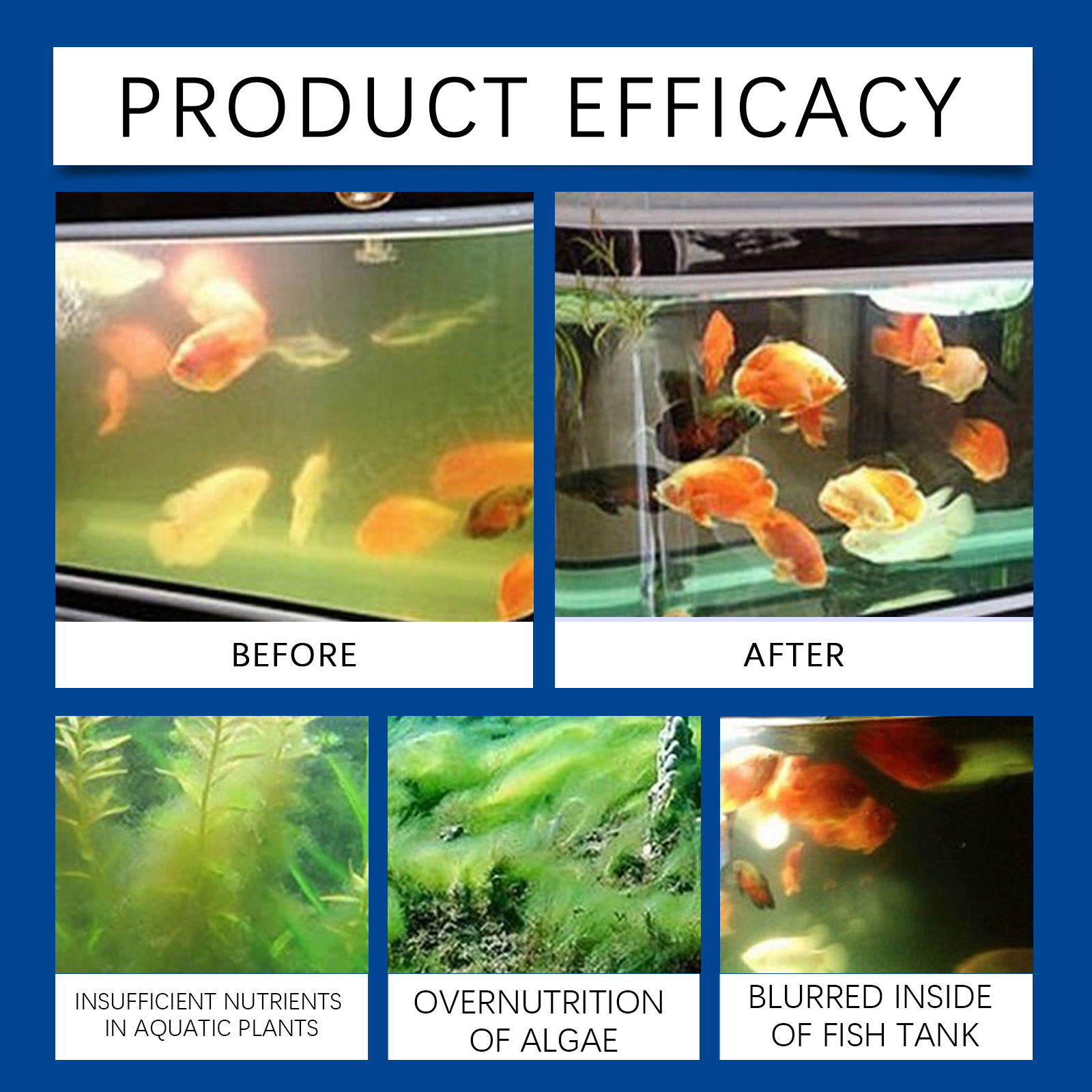 حوض السمك المياه توضيح 100 ملل - مراجعة Cleaner Fish Aquarium وسعره