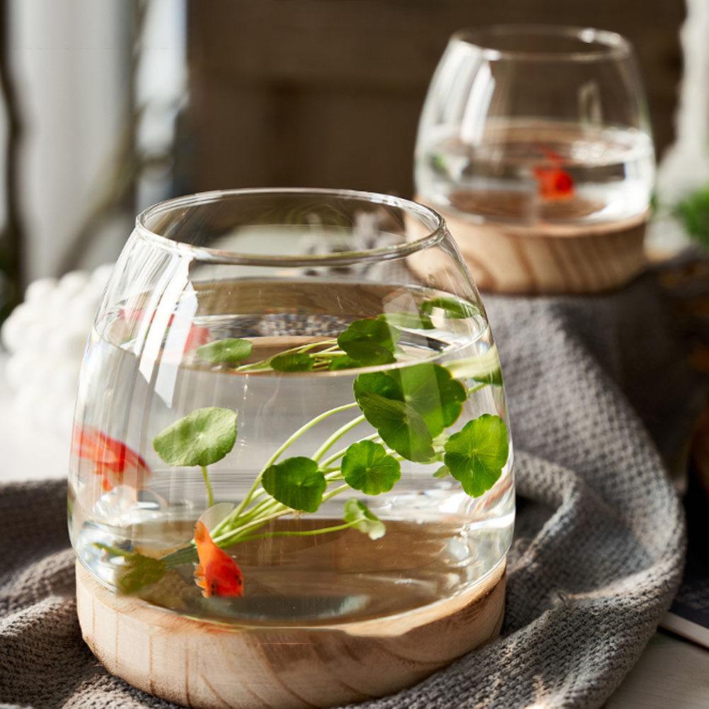 مجموعة واحدة من حوض النباتات ا - مراجعة Aquarium Fish Unique وسعره