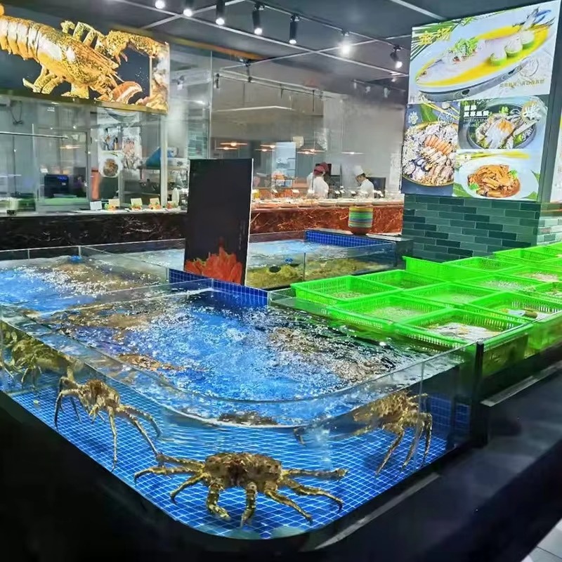 حوض سمك مربع الشكل من الزجاج ل - مراجعة Aquarium Xxl وسعره