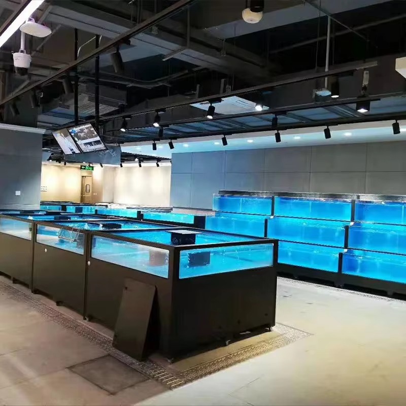 حوض سمك مربع الشكل من الزجاج ل - مراجعة Aquarium Xxl وسعره