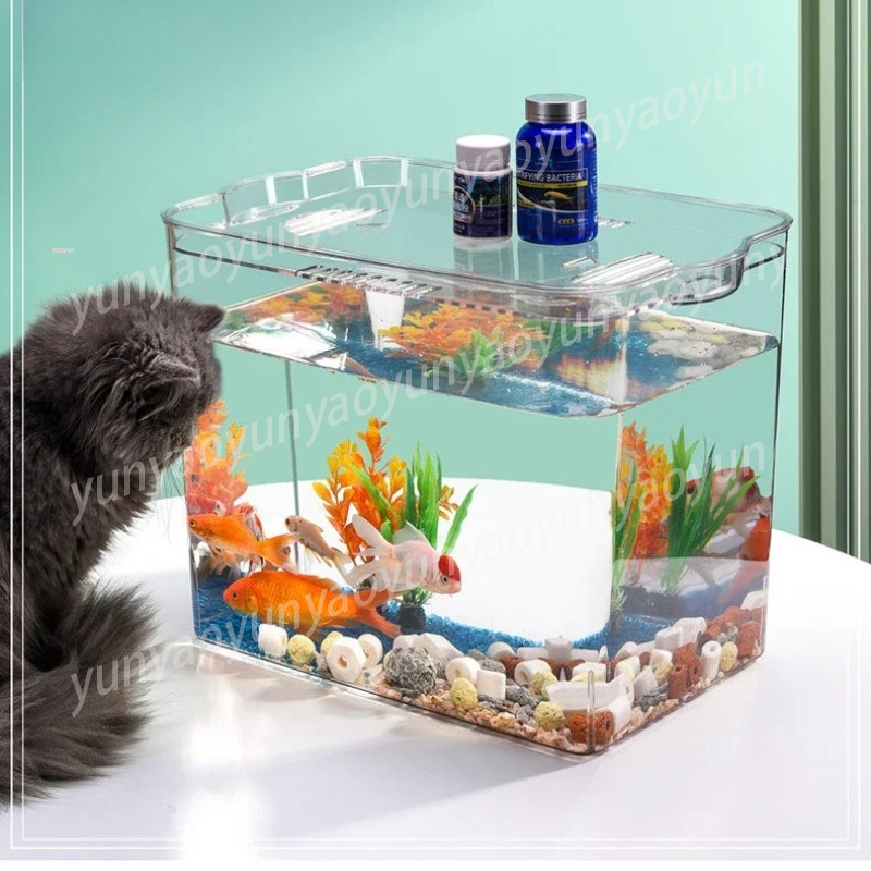 وعاء بلاستيكي شفاف صغير لتربية - مراجعة Aquarium Fish Unique وسعره