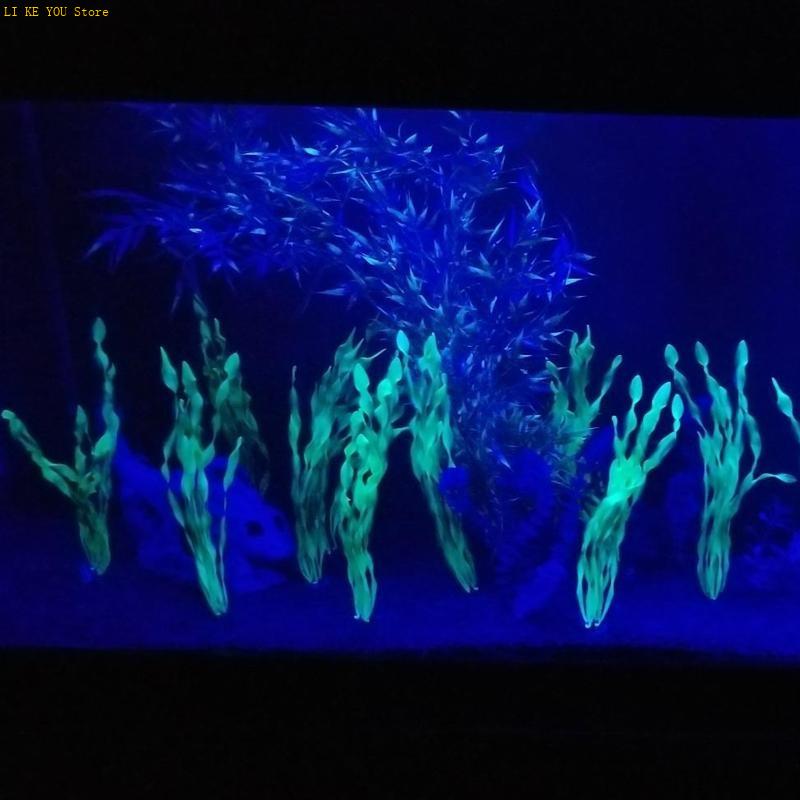 W3JE 10x النباتات المائية الاص - مراجعة Aquarium Fish Hiding Spot وسعره