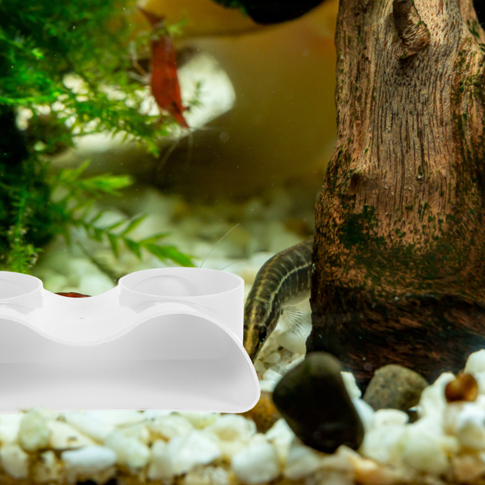 ديكور نفق حوض السمك على شكل كه - مراجعة Aquarium Fish Hiding Spot وسعره