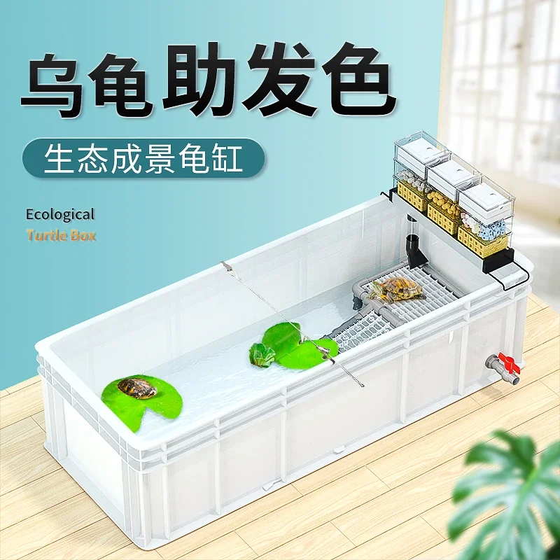 حوض سلاحف كبير احترافي، فلتر ق - مراجعة Fish Co Aquarium وسعره
