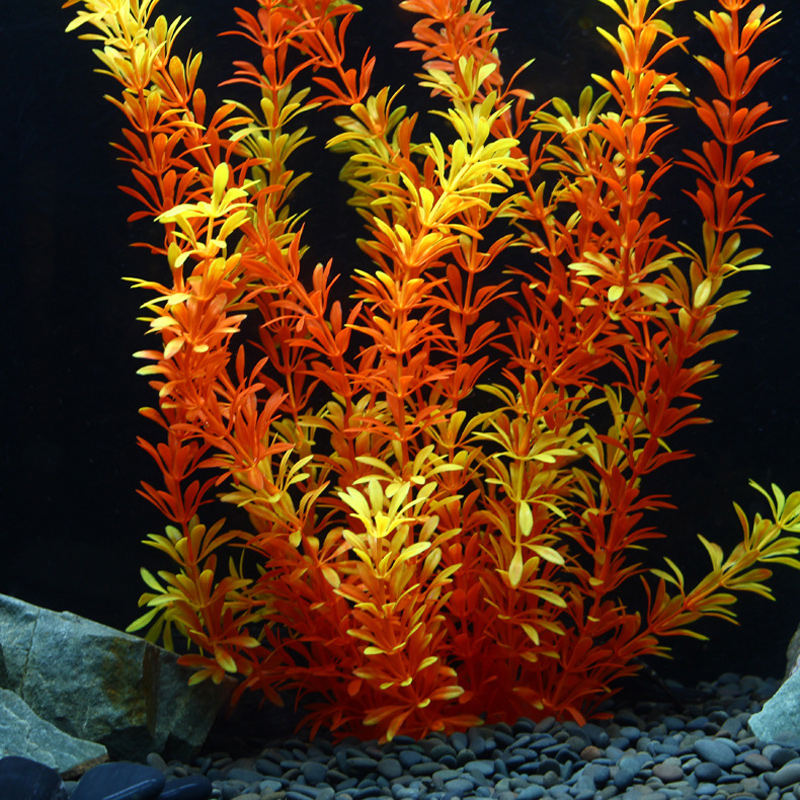 نباتات استوائية اصطناعية بطول  - مراجعة Aquarium Fish Store وسعره