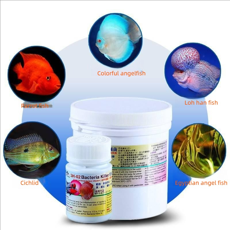 علاج أسماك الزينة للقضاء على ا - مراجعة Aquarium Fish Cichlid وسعره