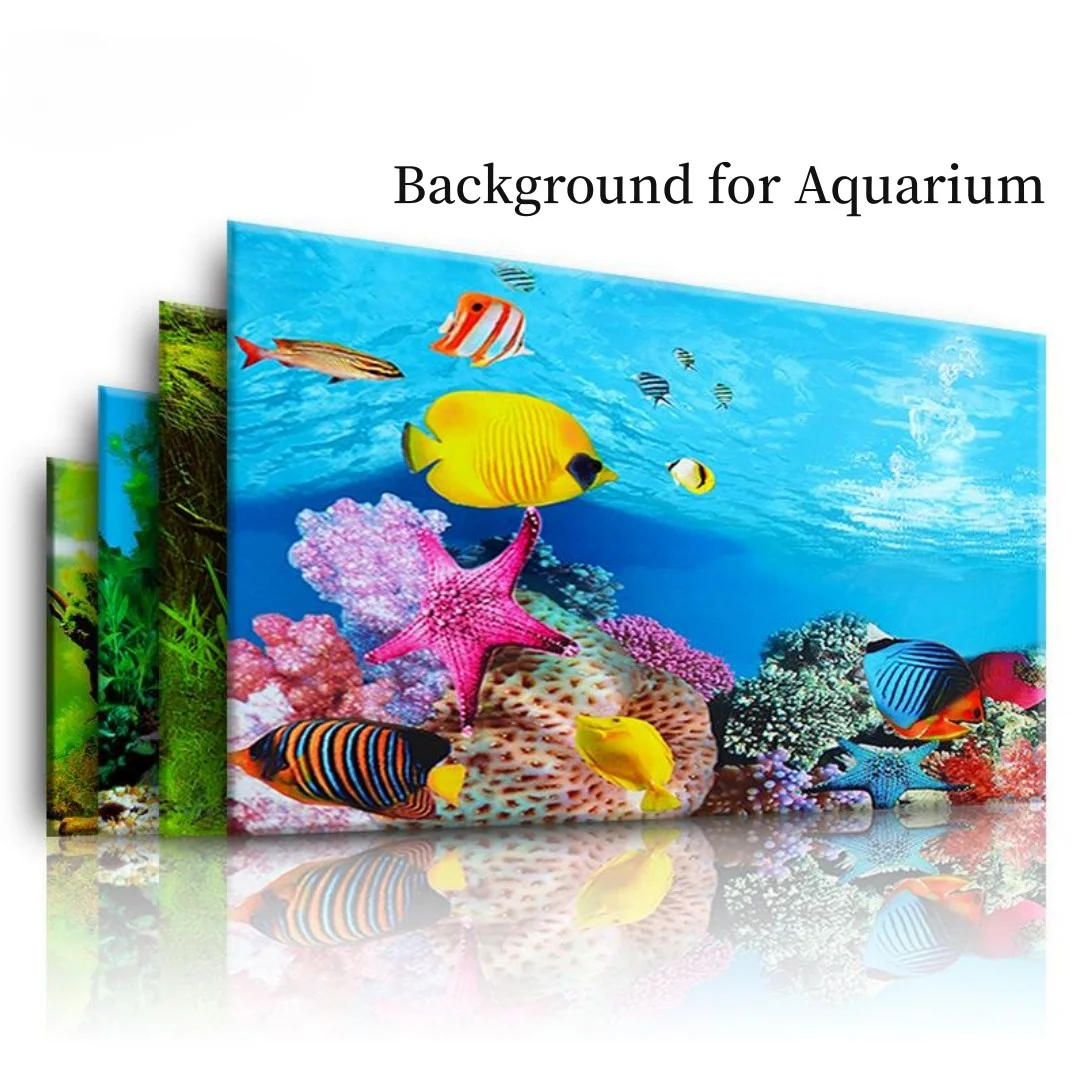 خلفية حوض السمك ثلاثية الأبعاد - مراجعة Aquarium Fish Cichlid وسعره