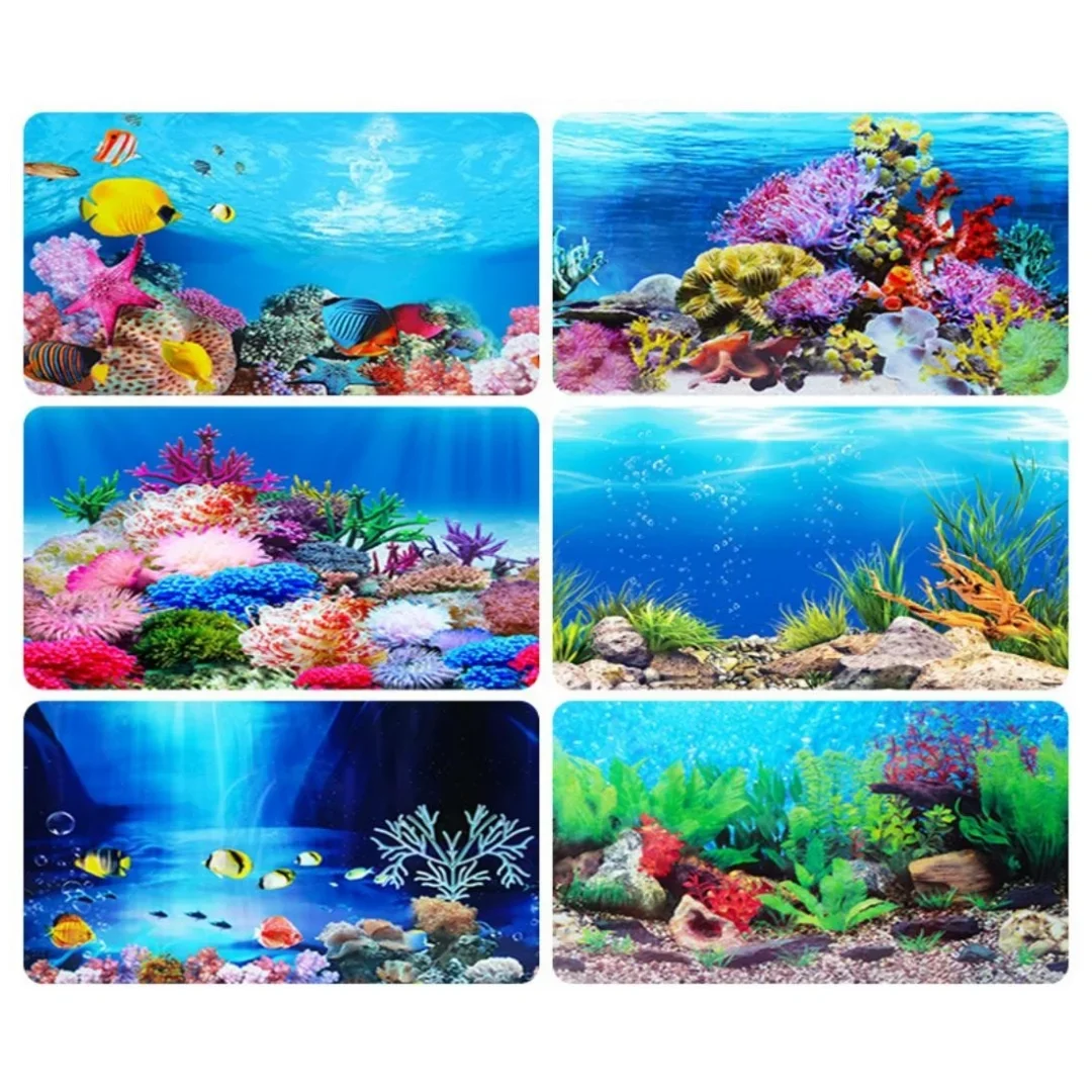 خلفية حوض السمك ثلاثية الأبعاد - مراجعة Aquarium Fish Cichlid وسعره