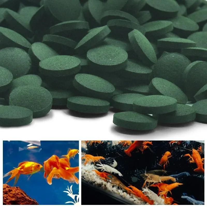 50/100/300/500 قطعة أقراص سبير - مراجعة Aquarium Fish Holiday Food وسعره