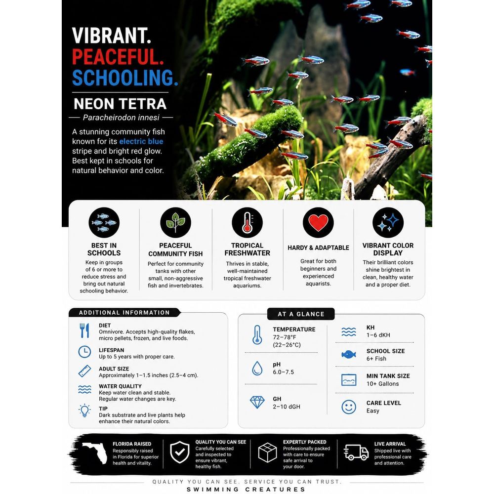 سمك تيترا نيون للمياه العذبة ( - مراجعة Tetra Fish In Aquarium وسعره