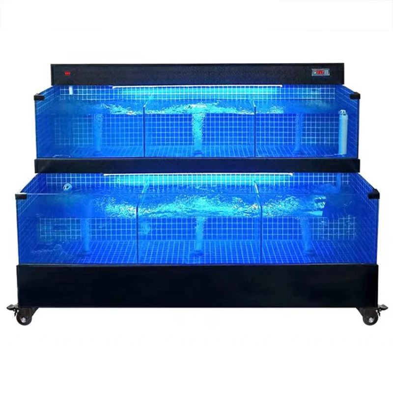 تخصيص حسب الطلب: حوض عرض أسماك - مراجعة Aquarium Fish Store وسعره