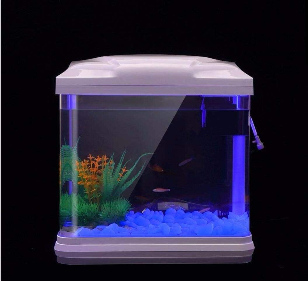 حوض السمك الصخور توهج الحصى ال - مراجعة Aquarium Fish Store وسعره