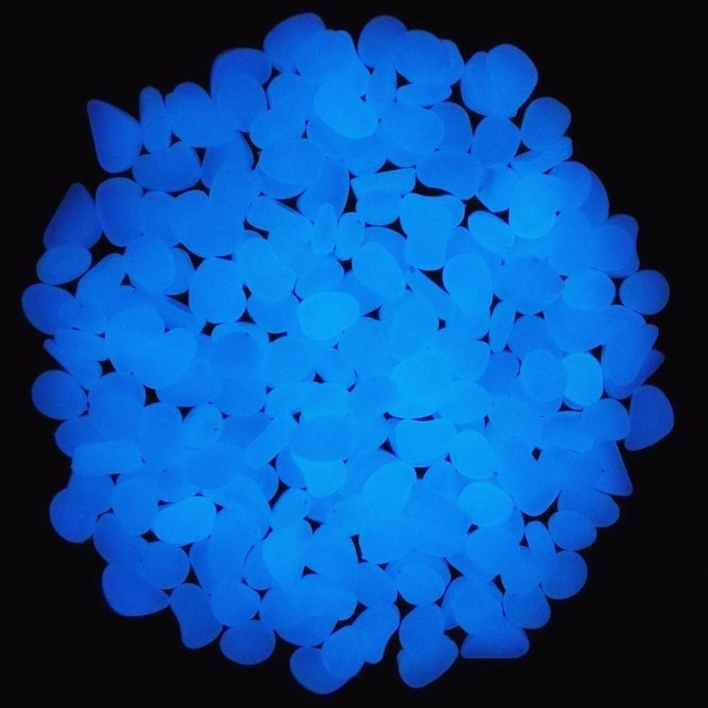 حوض السمك الصخور توهج الحصى ال - مراجعة Aquarium Fish Store وسعره