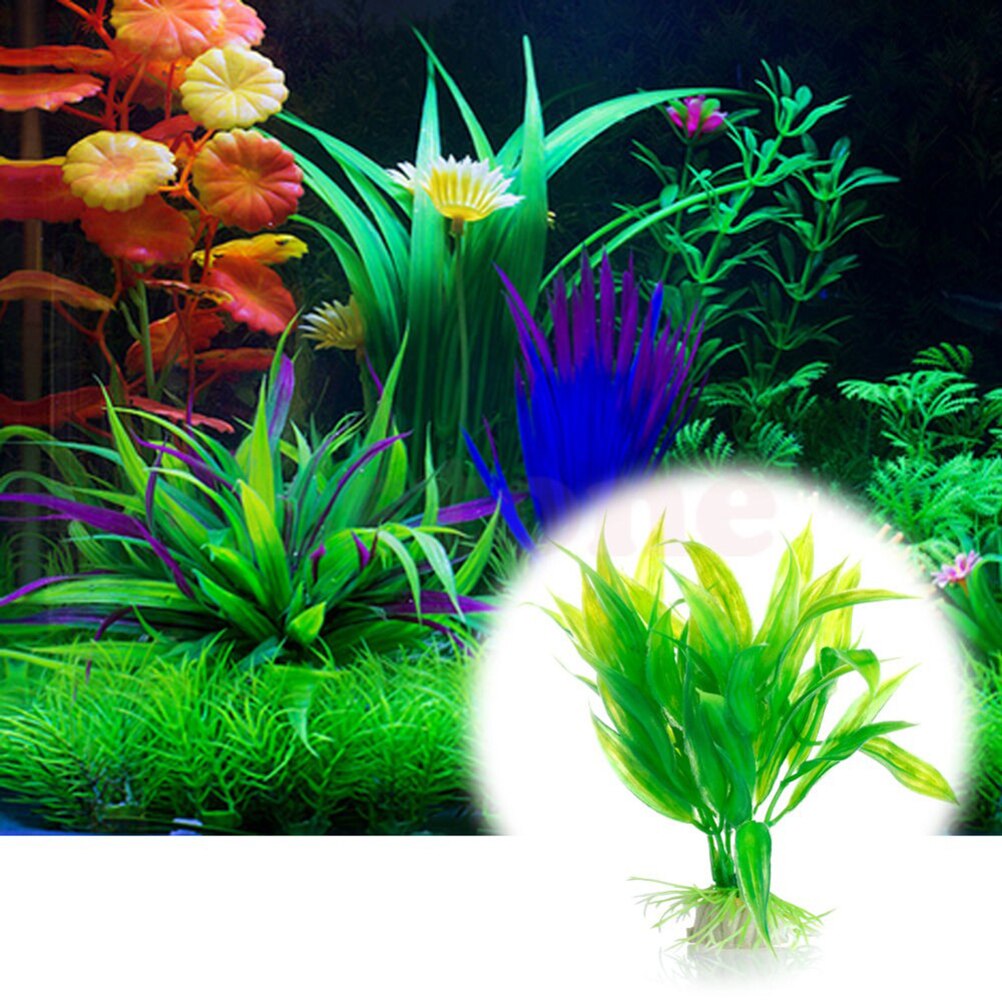 15 سنتيمتر حوض السمك الاصطناعي - مراجعة Aquarium Fish Cichlid وسعره