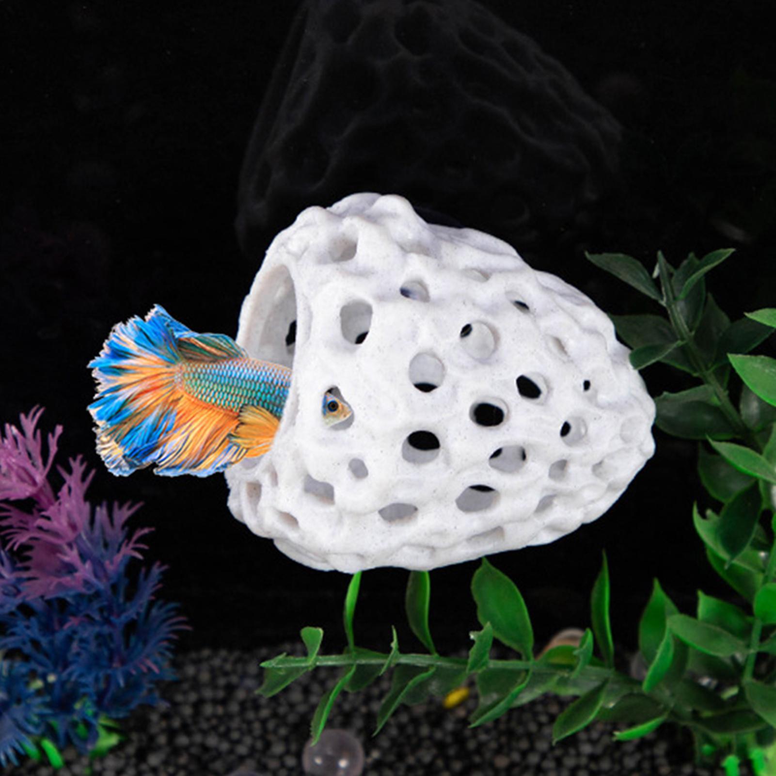 حوض السمك الروبيان منزل كهف صغ - مراجعة Aquarium Fish Hiding Spot وسعره