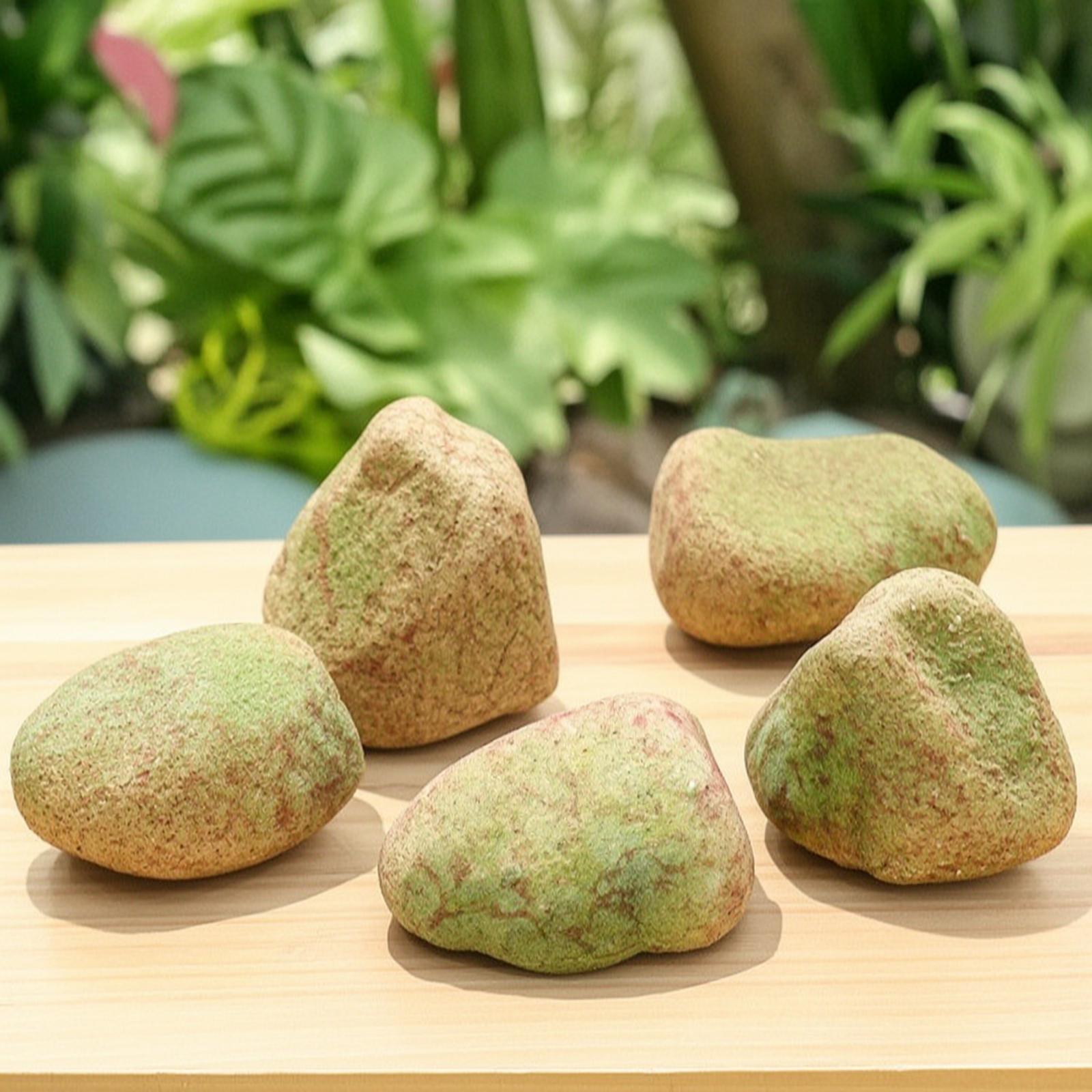 حجر صناعي واقعي للعرض، صخور غي - مراجعة Aquarium Decoration Rock وسعره