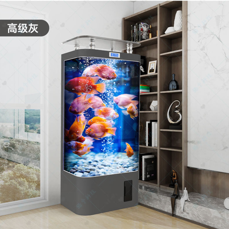 خزان ذهبي ذكي، غرفة المعيشة، م - مراجعة Aquarium Xxl وسعره